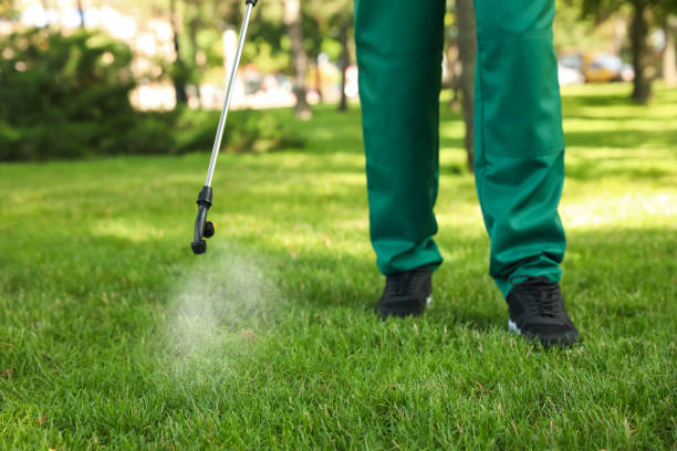 Best Affordable Pest Control Services  in Rainier, OR