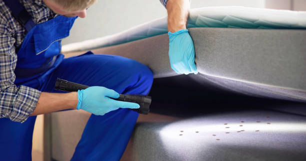 Best Best Pest Control Companies  in Rainier, OR
