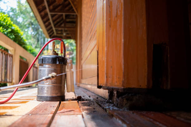 Best Pest Prevention Services  in Rainier, OR