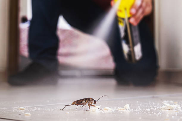Best Cockroach Control Services  in Rainier, OR